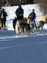 Ledová jízda 2007